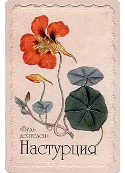 Оракул «Селам или Язык Цветов»